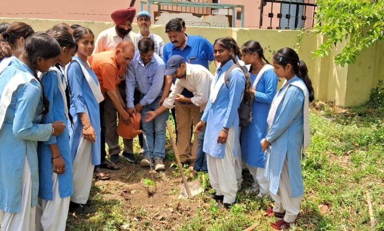 विश्व पर्यावरण दिवस के अवसर पर एनसीसी कैडेट ने पौधारोपण किया विश्व पर्यावरण दिवस के अवसर पर एनसीसी कैडेट ने पौधारोपण किया