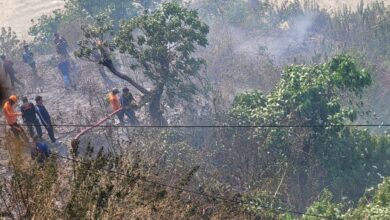 वनाग्नि पर फायर सर्विस की टीम ने पाया काबू