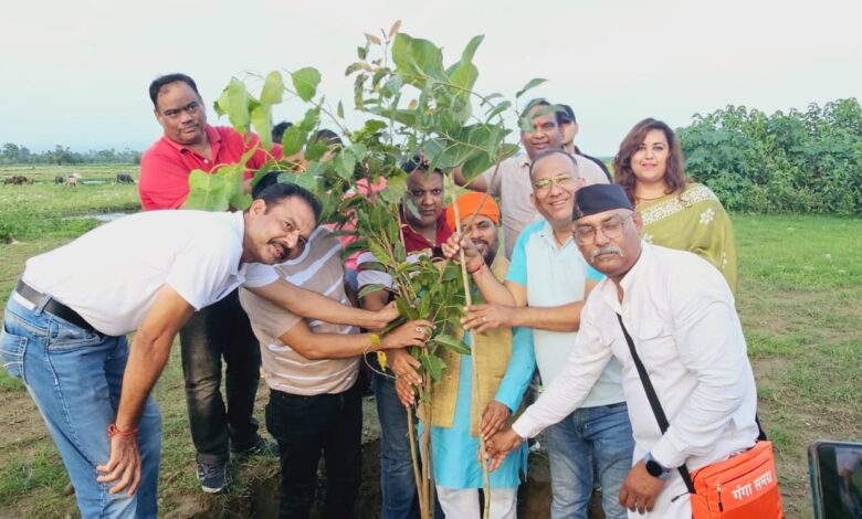हरेला पर्व पर गंगा समग्र उत्तराखंड द्वारा आसन नदी के तट पर 500 वृक्षों का रोपण हरेला पर्व पर गंगा समग्र उत्तराखंड द्वारा आसन नदी के तट पर 500 वृक्षों का रोपण
