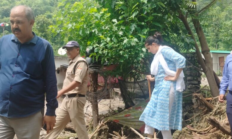 जिलाधिकारी ने लिया नुकसान का जायजा