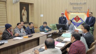 वन पंचायत हमारे महत्वपूर्ण अंग : डीएम