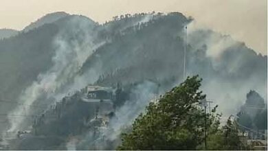 मानव जीवन के लिए भी बड़ा खतरा उत्पन्न करने जा रही जंगलों की आग