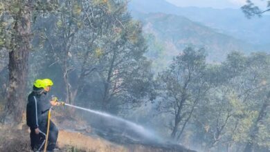 फायर फाइटर्स ने जंगल में लगी आग को बुझाया