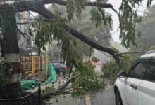 Dehardun Weather: मौसम ने दिखाए तीन रंग…डराया, सताया फिर दी राहत, झमाझम बारिश, तेज आंधी-तूफान से गिरे पेड़