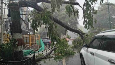 Dehardun Weather: मौसम ने दिखाए तीन रंग…डराया, सताया फिर दी राहत, झमाझम बारिश, तेज आंधी-तूफान से गिरे पेड़