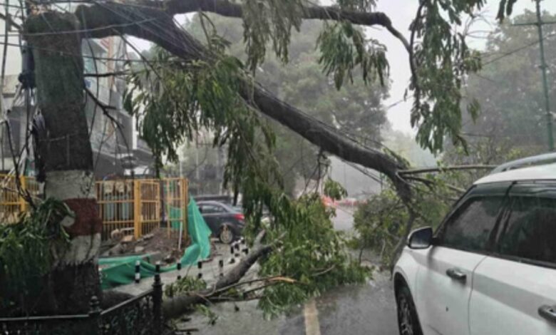 Dehardun Weather: मौसम ने दिखाए तीन रंग…डराया, सताया फिर दी राहत, झमाझम बारिश, तेज आंधी-तूफान से गिरे पेड़