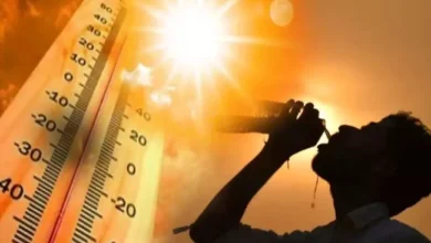 देहरादून समेत कई जिलों में गर्मी का कहर, IMD ने जारी किया लू का अलर्ट देहरादून समेत कई जिलों में गर्मी का कहर, IMD ने जारी किया लू का अलर्ट