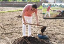 Uttarakhand News: मुख्यमंत्री धामी ने खेत में चलाया टिलर, जैविक और पारंपरिक खेती को बढ़ावा देने का दिया संदेश…