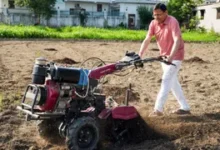 सीएम धामी का ‘किसान अवतार’, अपने खेत में खुद चलाया टिलर; जैविक और पारंपरिक खेती का दिया बड़ा संदेश