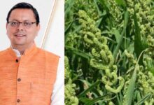 Uttarakhand News: CM धामी का बड़ा दावा: कहा नहीं, करके दिखाया… उत्तराखंड में लागू की स्टेट मिलेट पॉलिसी….. Uttarakhand News: CM धामी का बड़ा दावा: कहा नहीं, करके दिखाया… उत्तराखंड में लागू की स्टेट मिलेट पॉलिसी…..