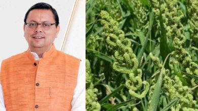Uttarakhand News: CM धामी का बड़ा दावा: कहा नहीं, करके दिखाया… उत्तराखंड में लागू की स्टेट मिलेट पॉलिसी…..