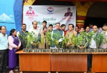 किसानों की आय बढ़ाने पर जोर, बुरांशखंडा में मुफ्त बीज वितरण