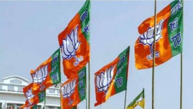 गांवों में जनसेवा और संवाद को धार देगा भाजपा का एनजीओ प्रकोष्ठ, हर रविवार चलेगा अभियान