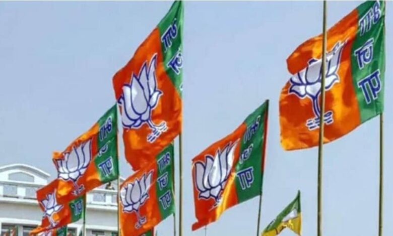 गांवों में जनसेवा और संवाद को धार देगा भाजपा का एनजीओ प्रकोष्ठ, हर रविवार चलेगा अभियान