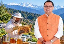 80% सब्सिडी से पहाड़ में बढ़ी ‘मीठी क्रांति’, मधुमक्खी पालन से किसानों की बढ़ी कमाई
