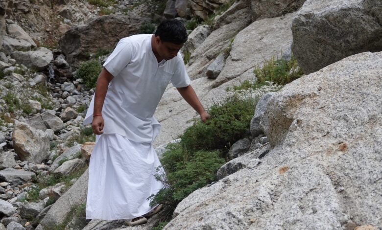 राष्ट्रपति भवन के 620 पौधों का भी रिकॉर्ड, पतंजलि ने संरक्षित किए 27 हजार से ज्यादा पादप नमूने।