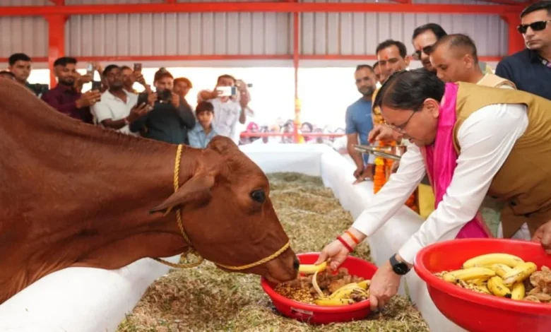 Uttarakhand News: खटीमा में विकास का डबल डोज! गौशाला का लोकार्पण, 108.84 करोड़ की 15 योजनाओं का शिलान्यास; 34.44 करोड़ से सड़क का होगा कायाकल्प…. Uttarakhand News: खटीमा में विकास का डबल डोज! गौशाला का लोकार्पण, 108.84 करोड़ की 15 योजनाओं का शिलान्यास; 34.44 करोड़ से सड़क का होगा कायाकल्प….